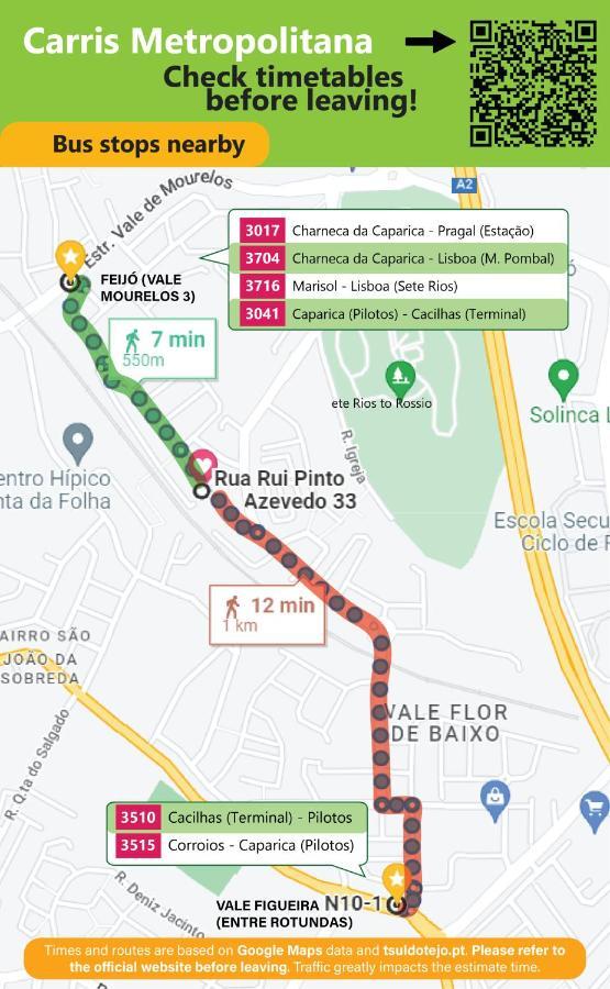 Alecrim D'estepe